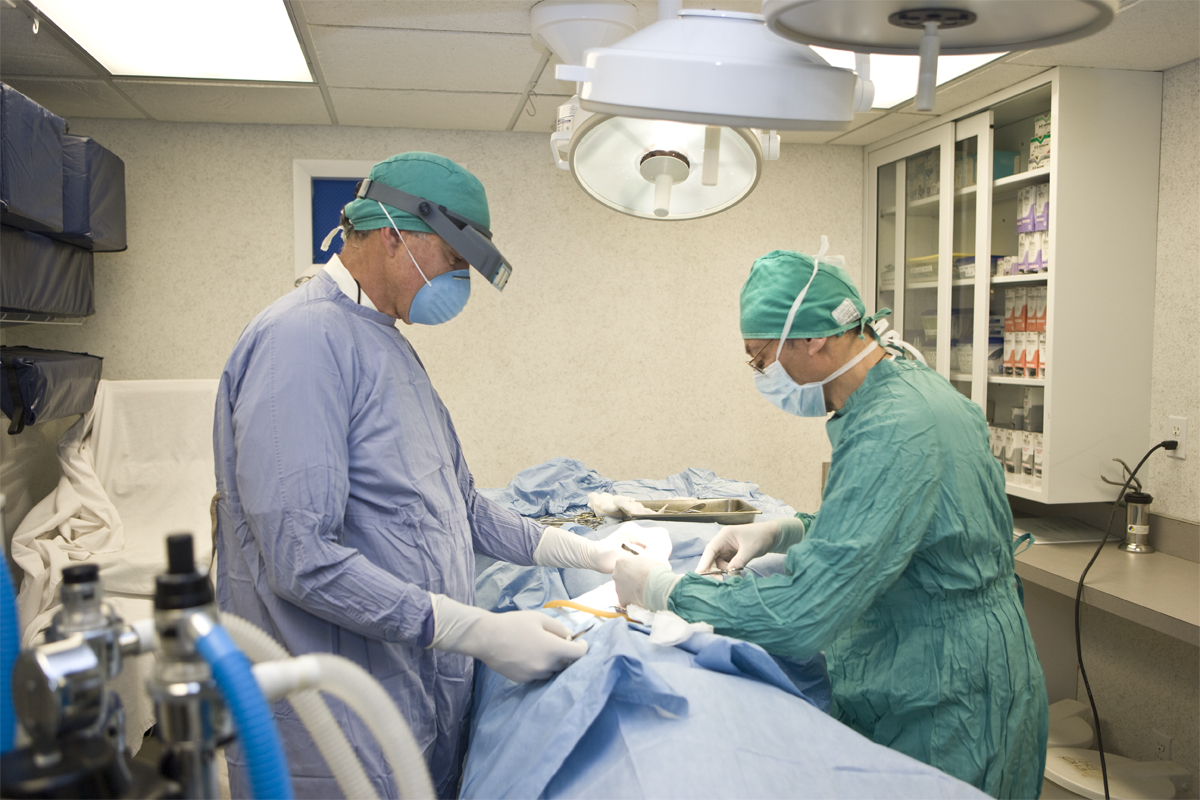 Surgical Care